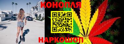 прущие грибы Тула