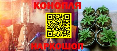 прущие грибы Тула