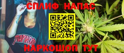 прущие грибы Тула