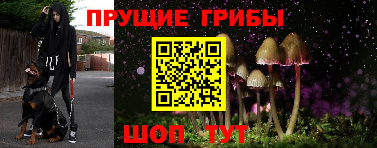 Псилоцибиновые грибы прущие грибы  Вход с VPN  Нижний Новгород 