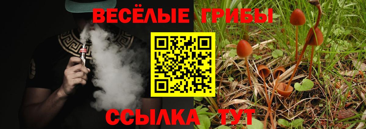 Псилоцибиновые грибы Cubensis Нижний Новгород